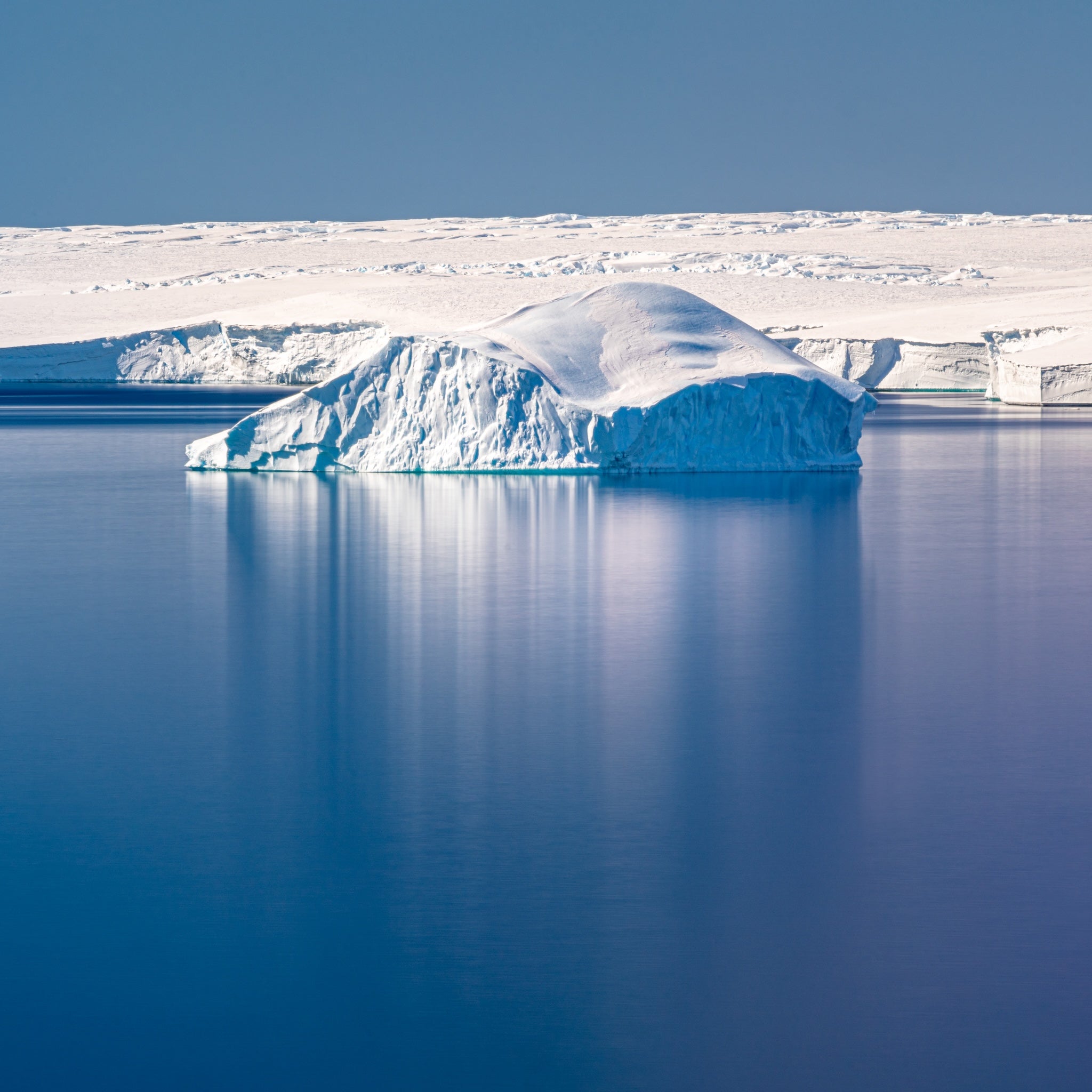Antarctique
