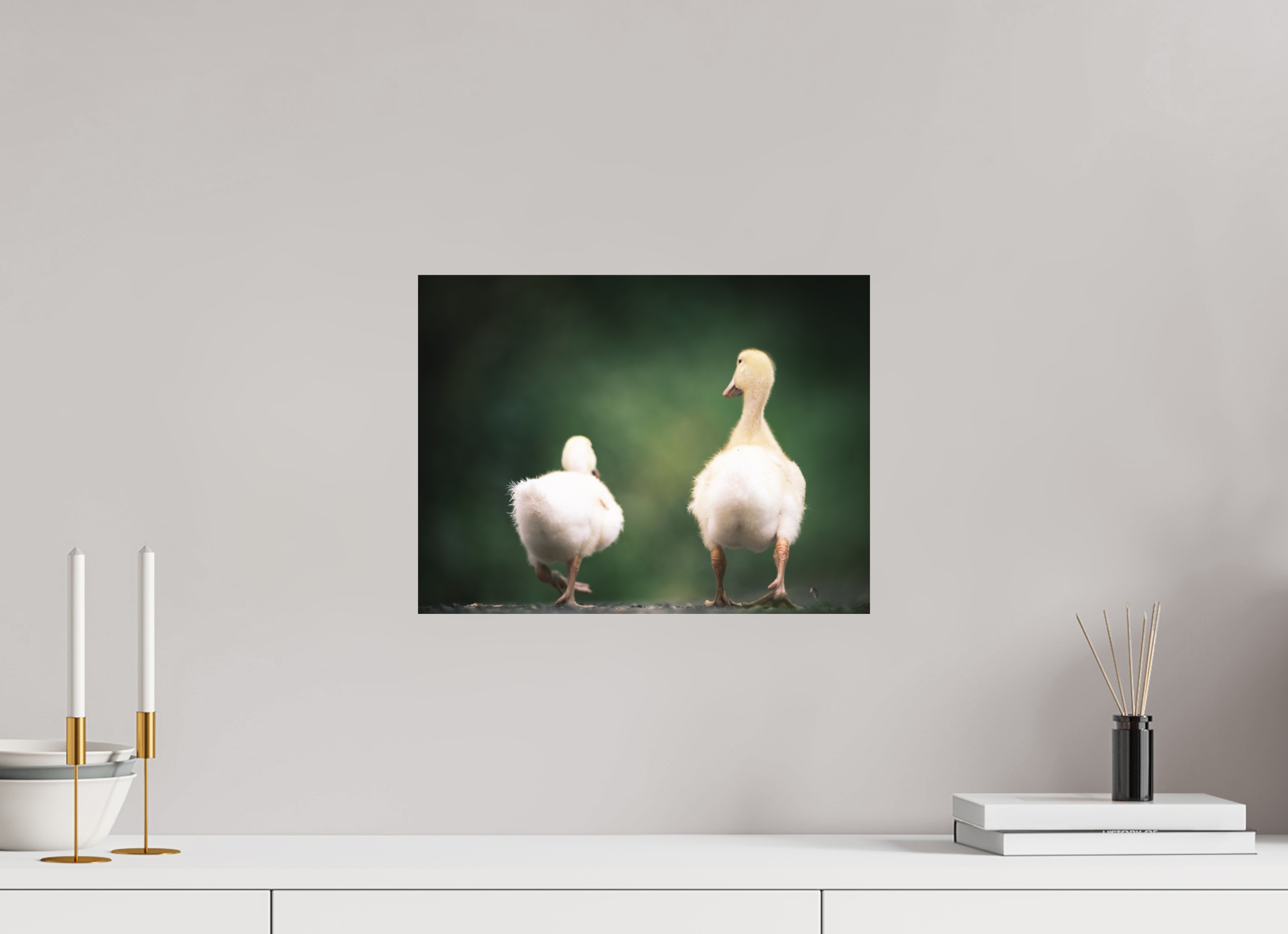40 x 30 cm, Tirage photo - satiné Canards I
