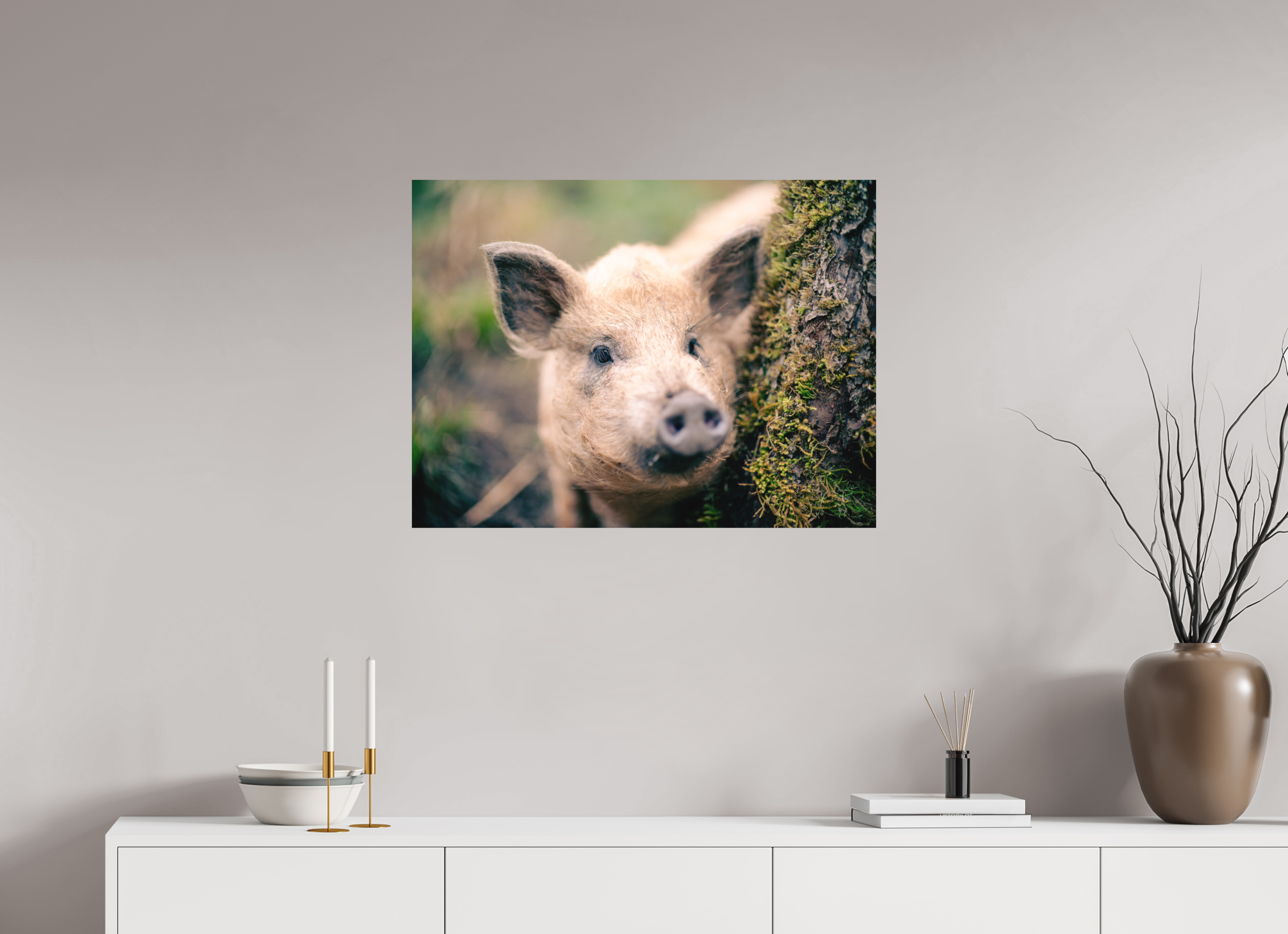 80 x 60 cm, Tirage photo - satiné Cochon