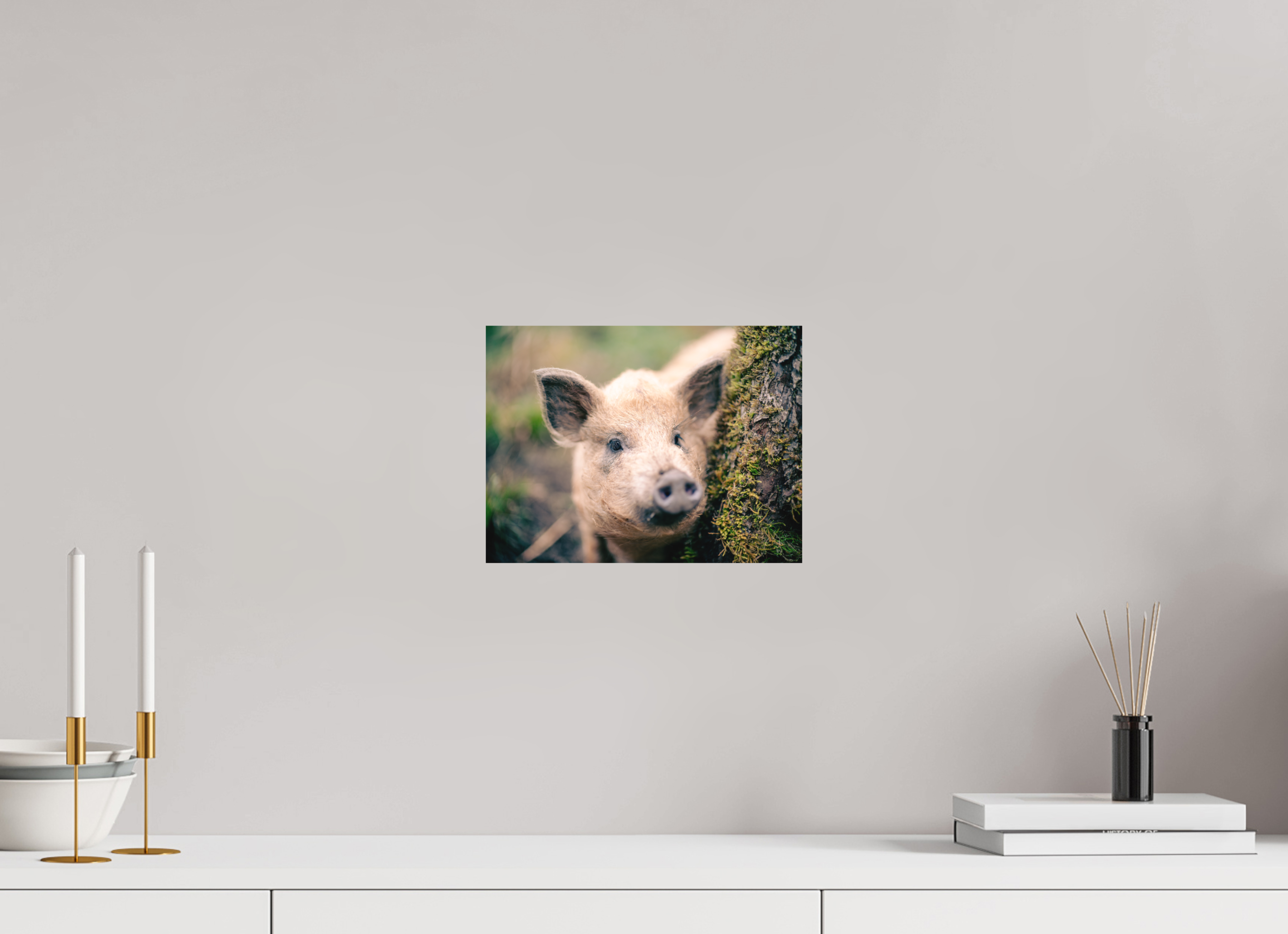 28 x 21 cm, Tirage photo - satiné Cochon