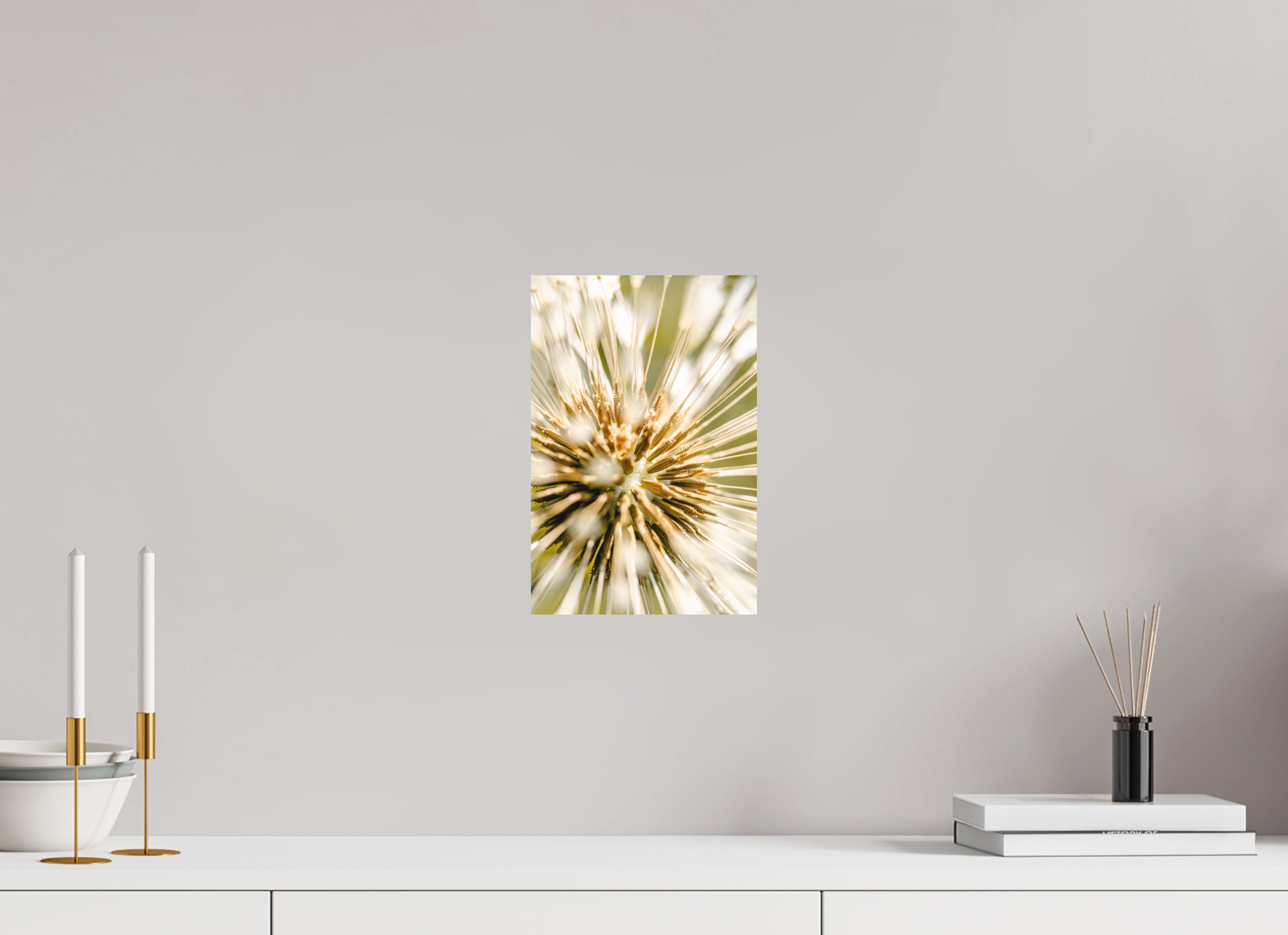 20 x 30 cm, Tirage photo - satiné pissenlit