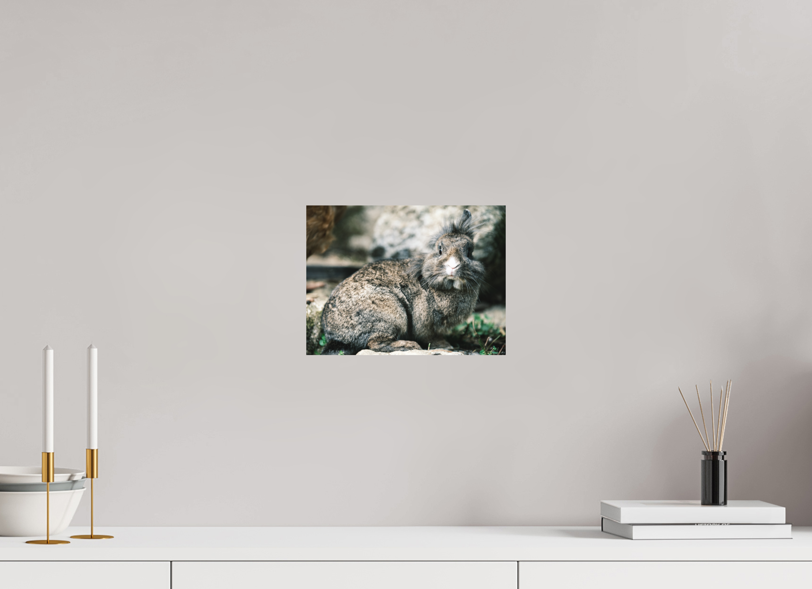 28 x 21 cm, Tirage photo - satiné Lapin