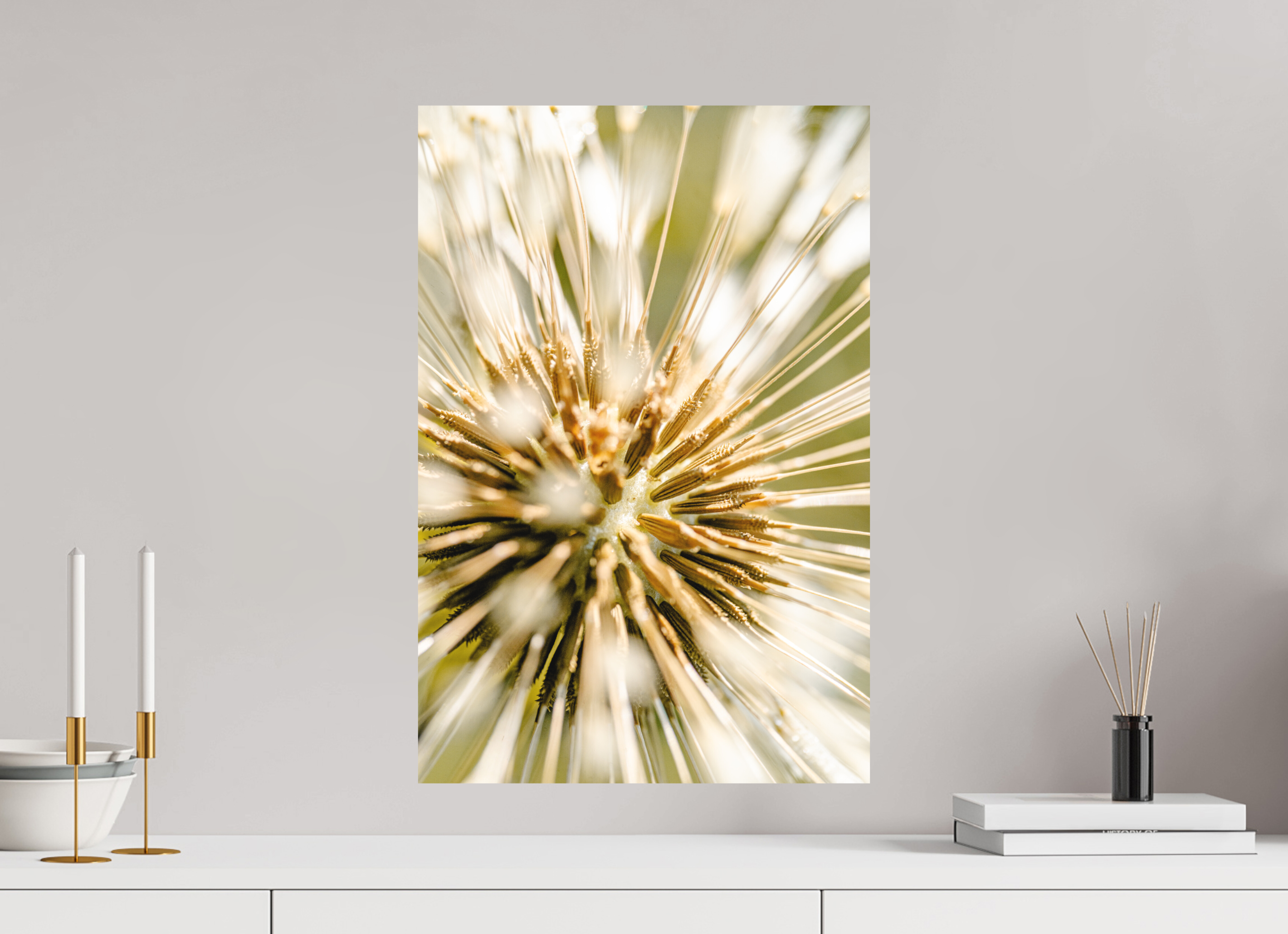 40 x 60 cm, Tirage photo - satiné pissenlit