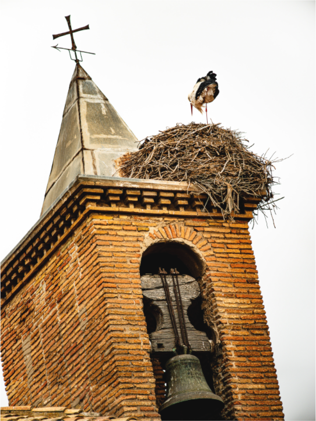 Main image Grue IV