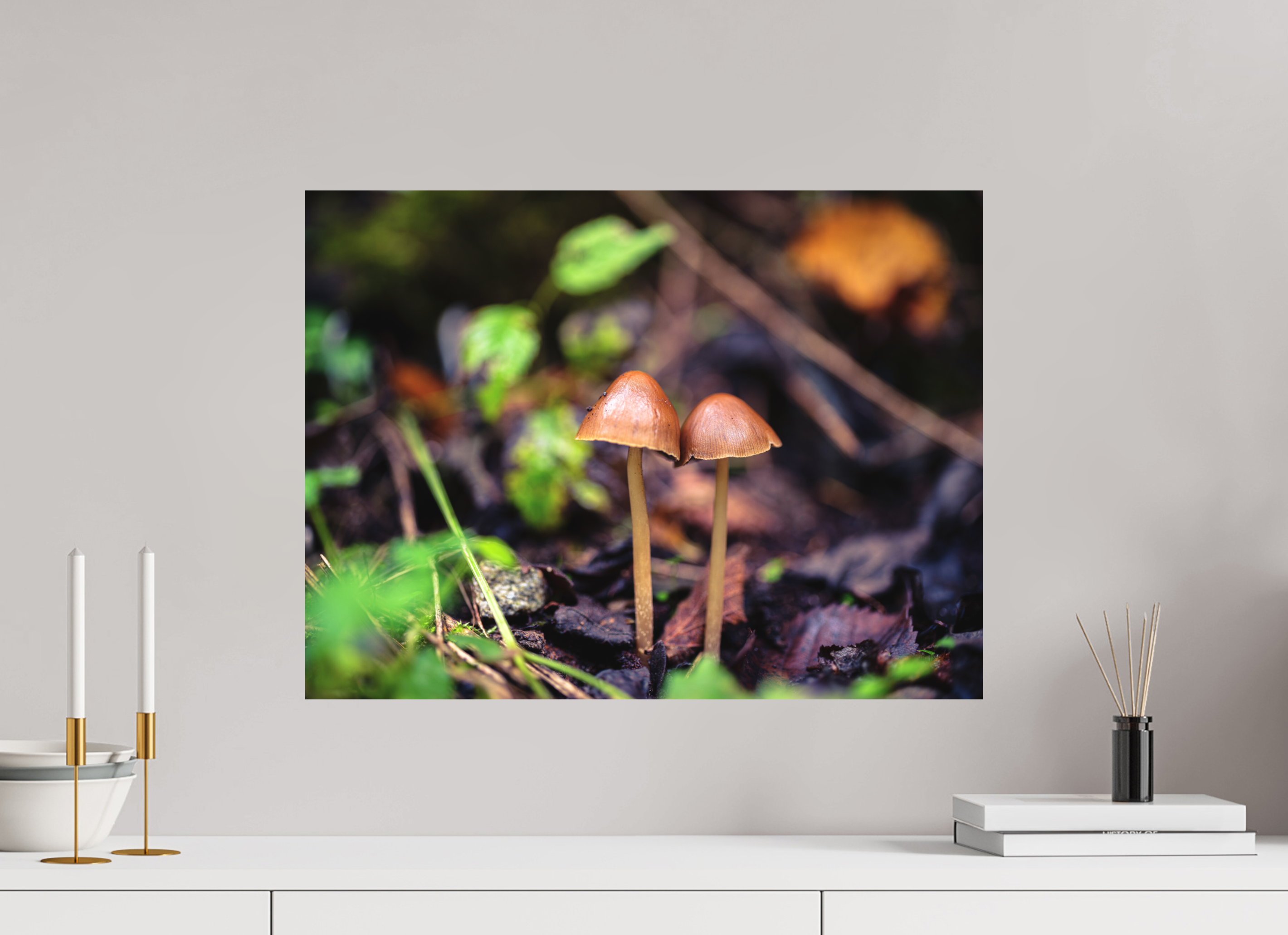 60 x 45 cm, Tirage photo - satiné Champignons