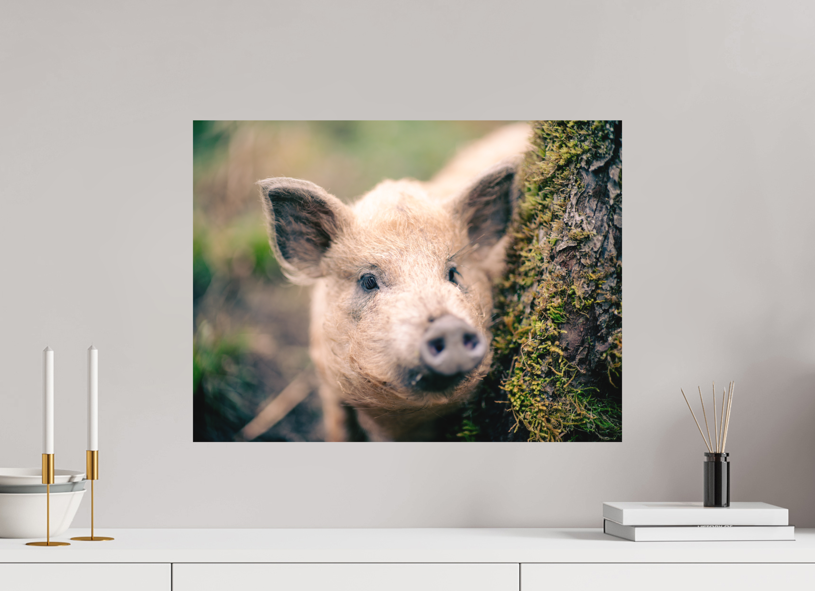 60 x 45 cm, Impression Fine Art - mat Cochon