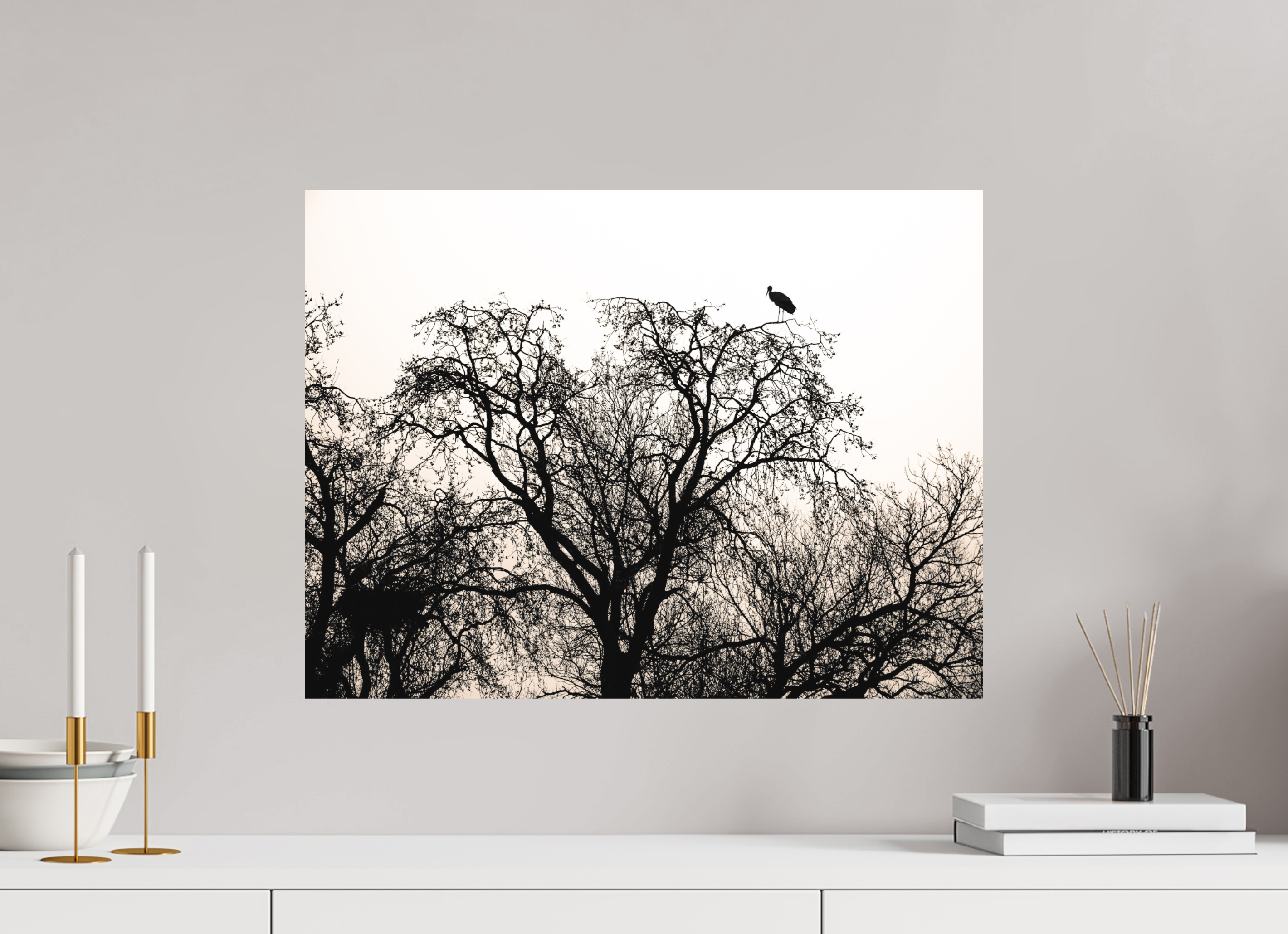 60 x 45 cm, Tirage photo - satiné grues VI