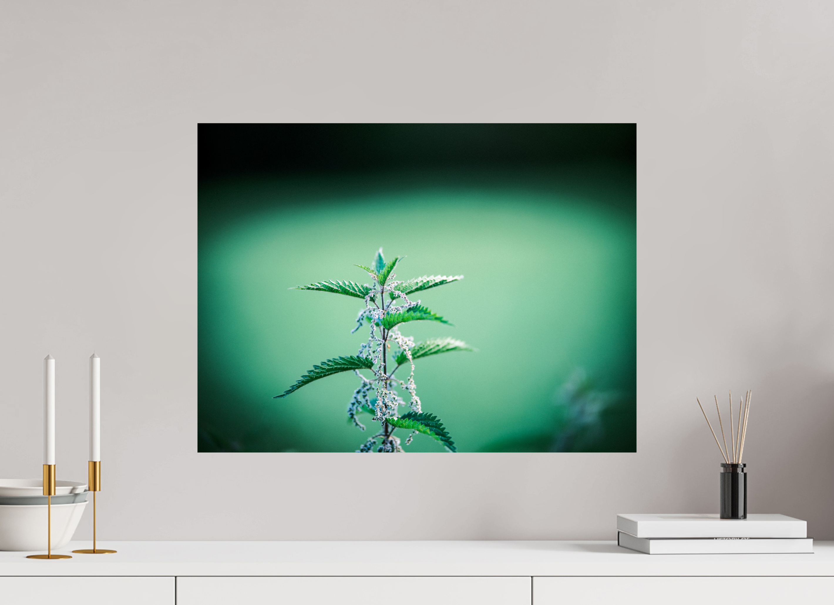 60 x 45 cm, Photo Print On Fuji Crystal DP II Ortie II