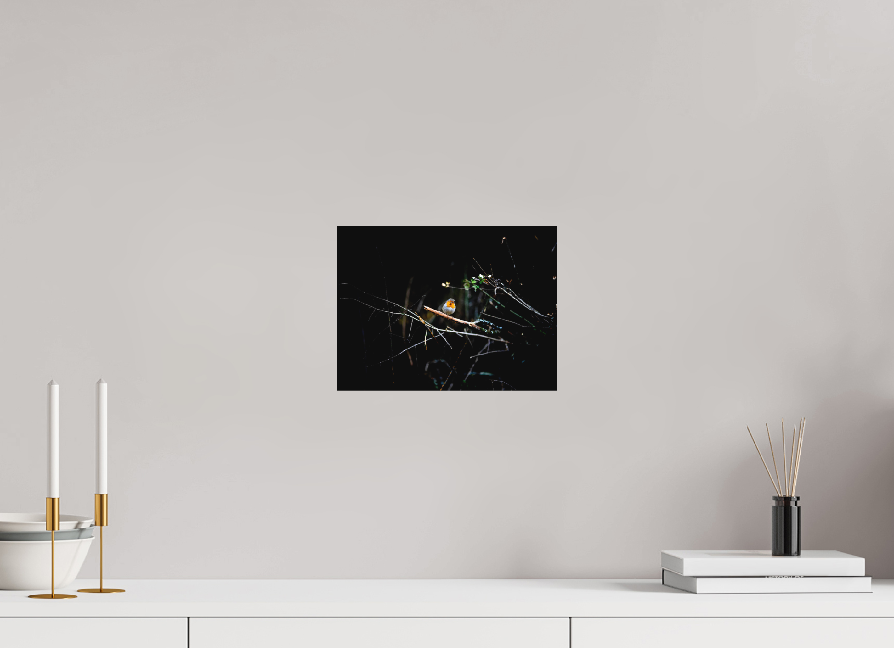 28 x 21 cm, Tirage photo - satiné Rouge gorge