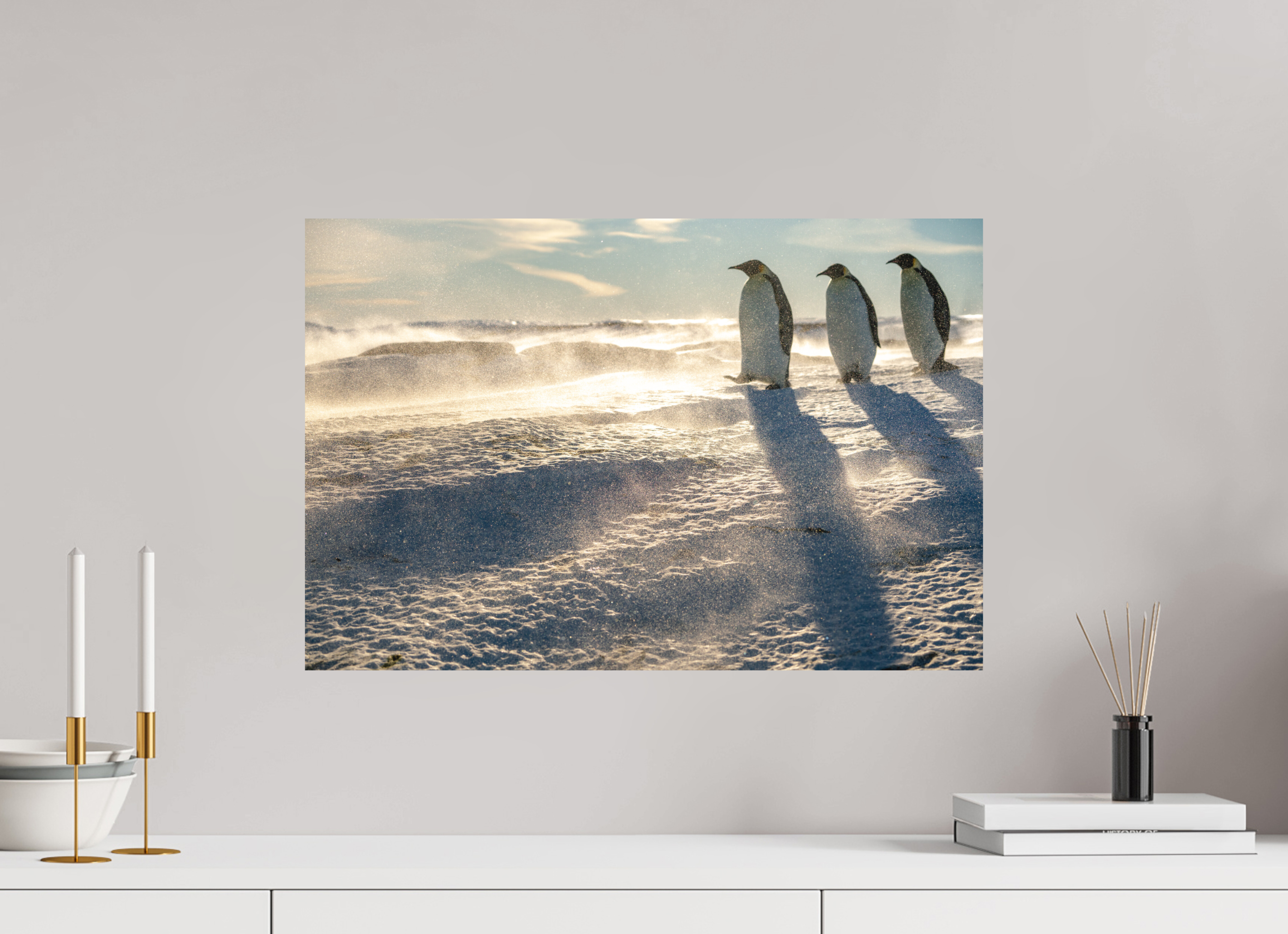 60 x 40 cm, Tirage photo - satiné La marche des Empereurs
