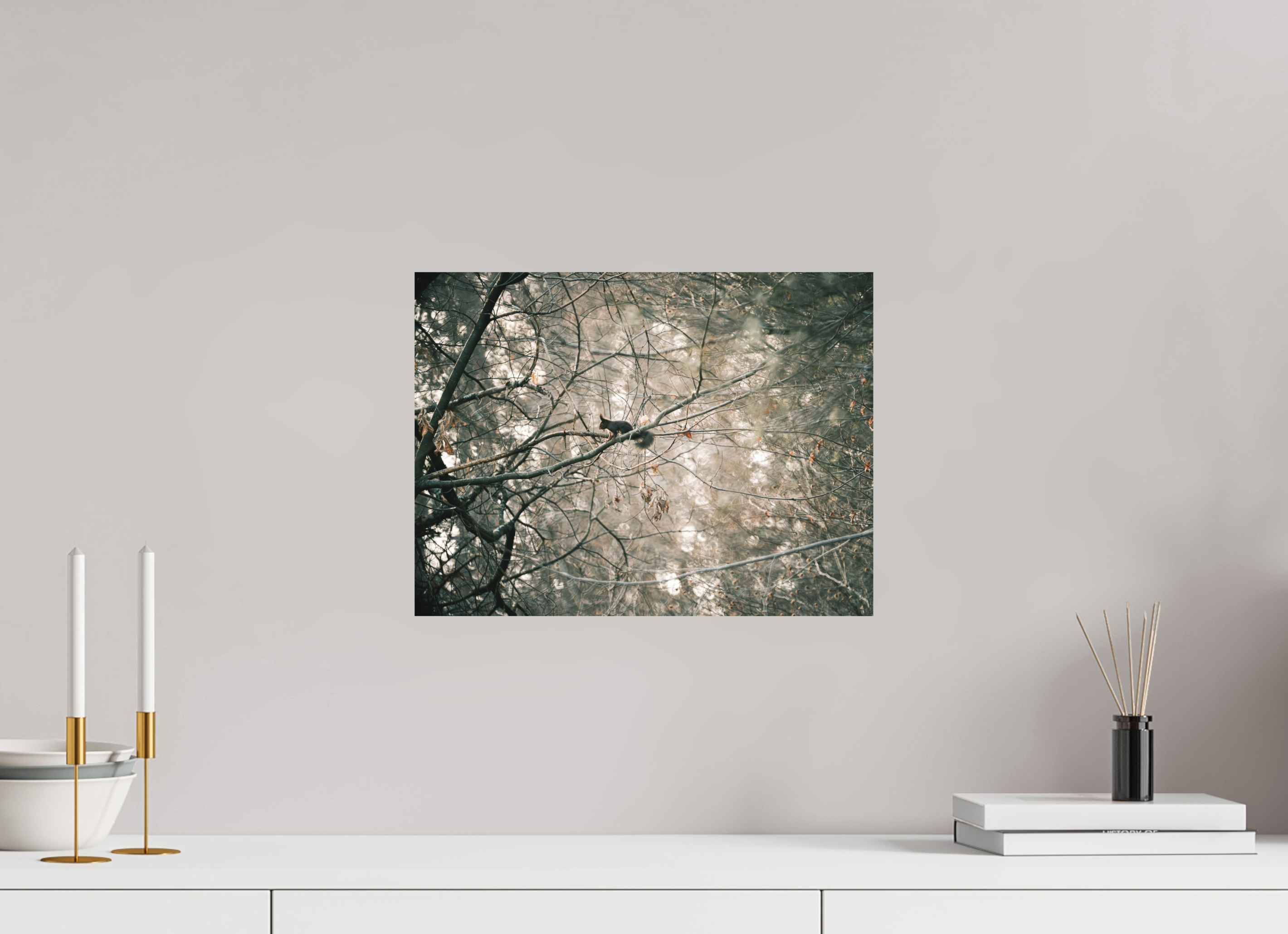 40 x 30 cm, Impression Fine Art sur support rigide - mat Ecureuil