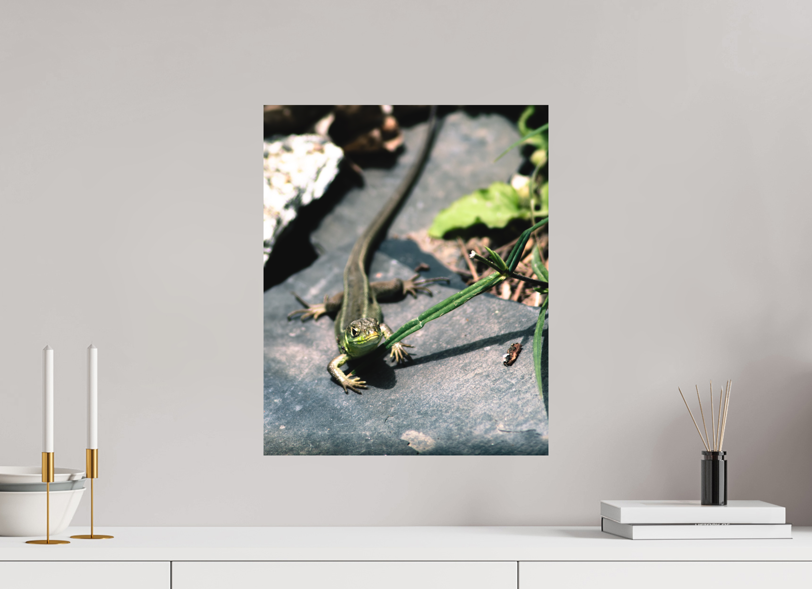 40 x 49,2 cm, Impression Fine Art - mat Lezard