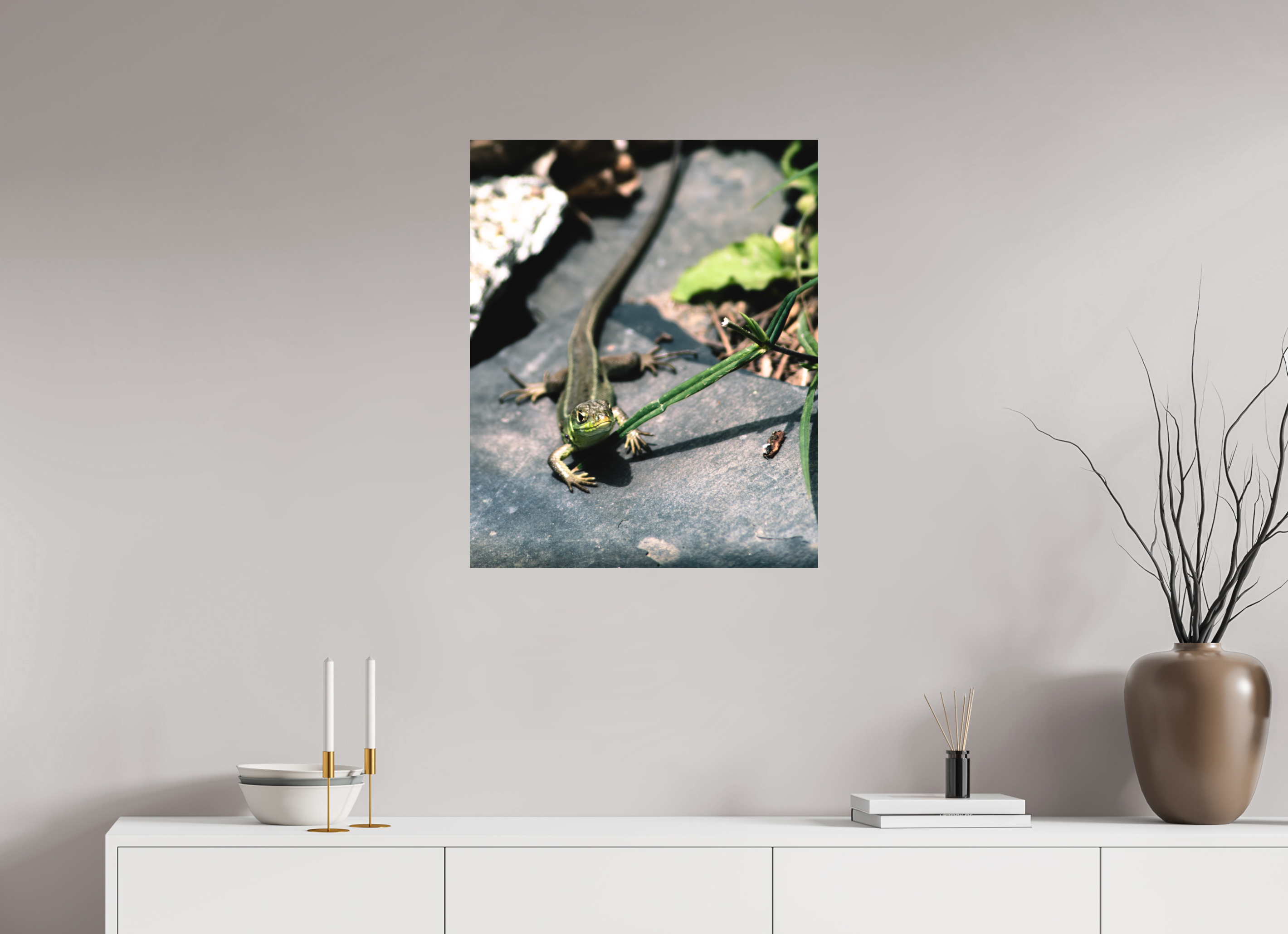 60 x 73,8 cm, Tirage photo - satiné Lezard