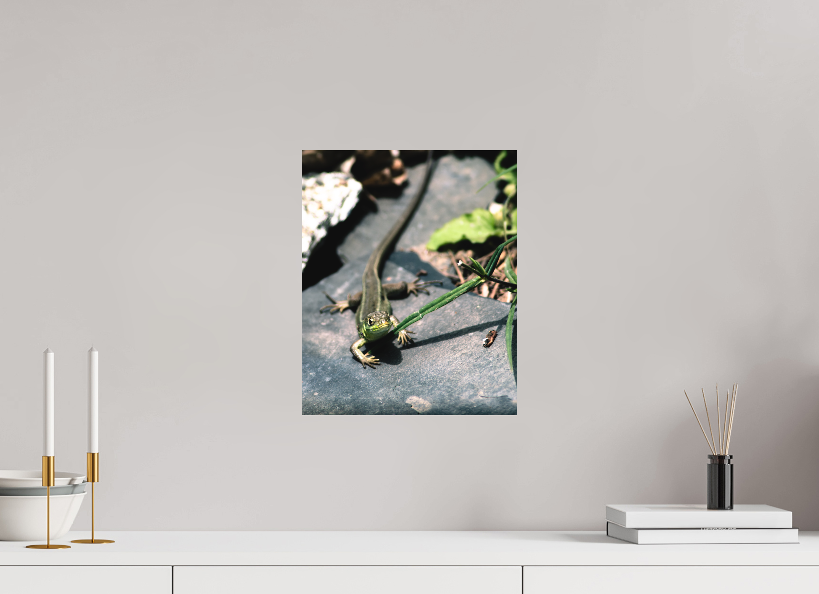 30 x 36,9 cm, Impression Fine Art - mat Lezard