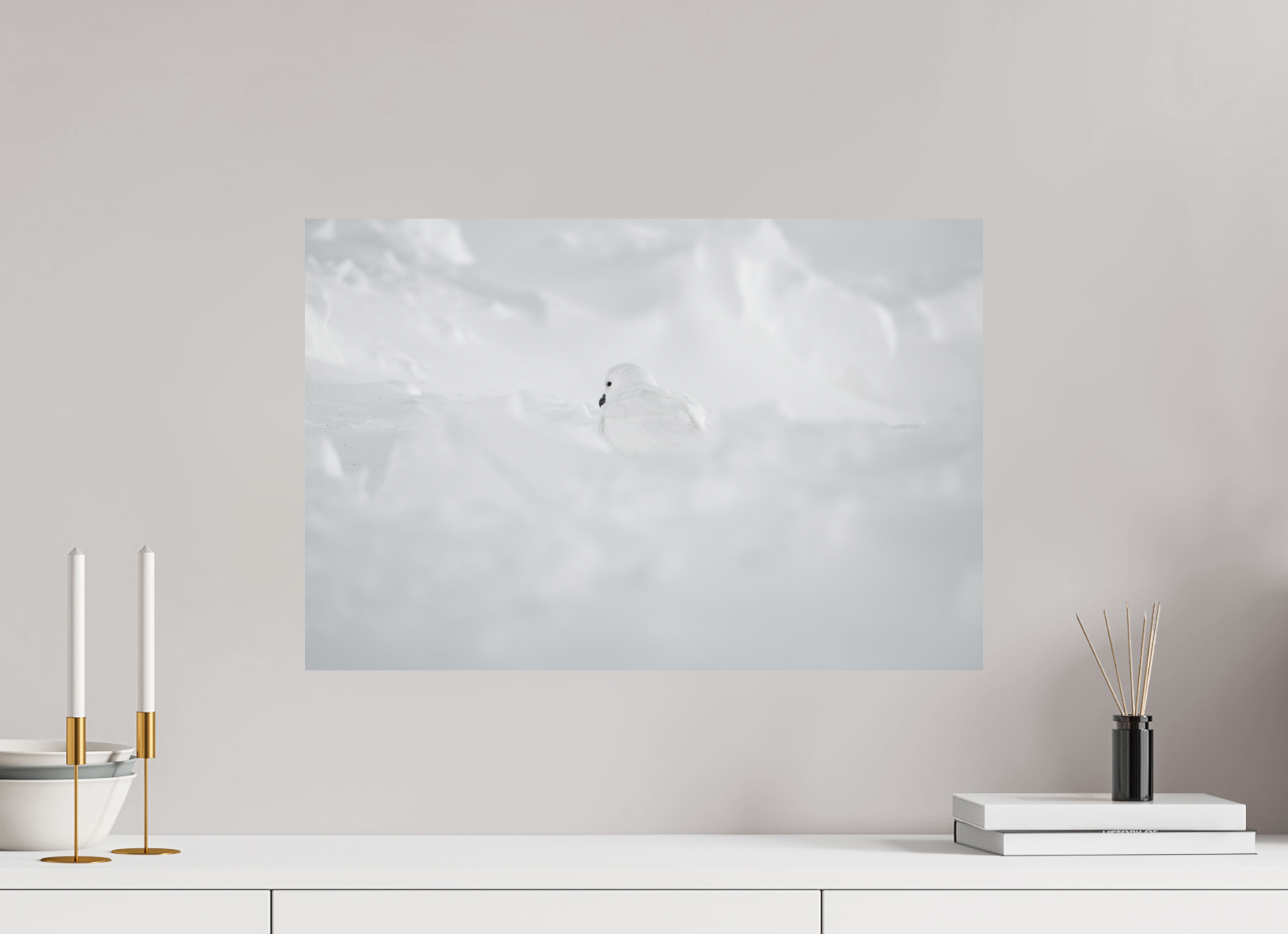 60 x 40 cm, Tirage photo - satiné Le Pétrel des Neiges