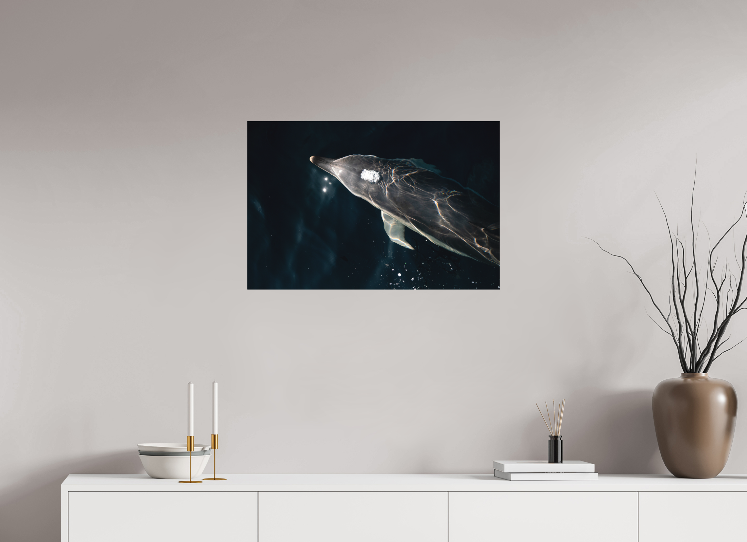 75 x 50 cm, Impression Fine Art - mat Dauphin joueur