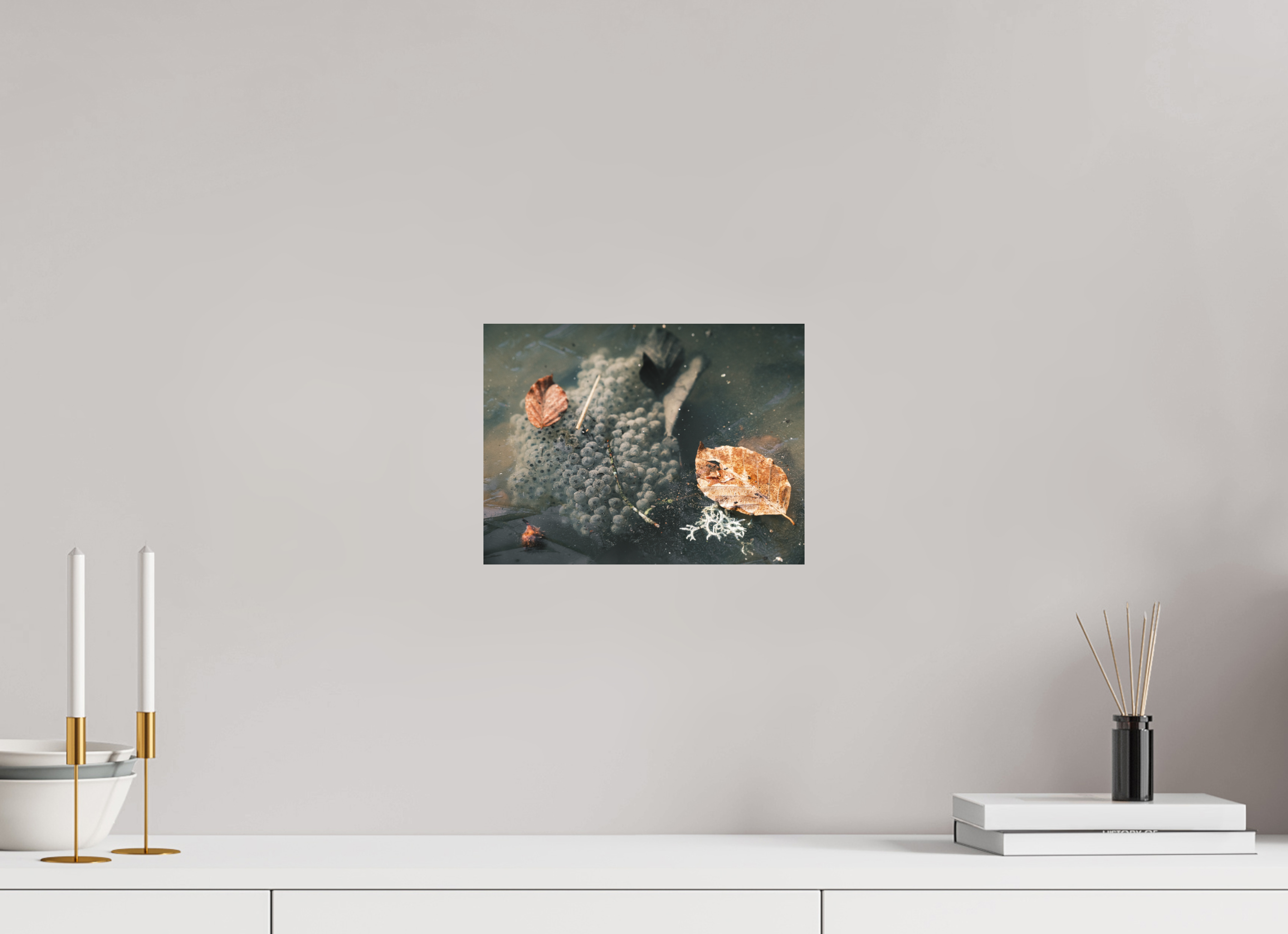 28 x 21 cm, Impression Fine Art sur support rigide - mat Oeufs
