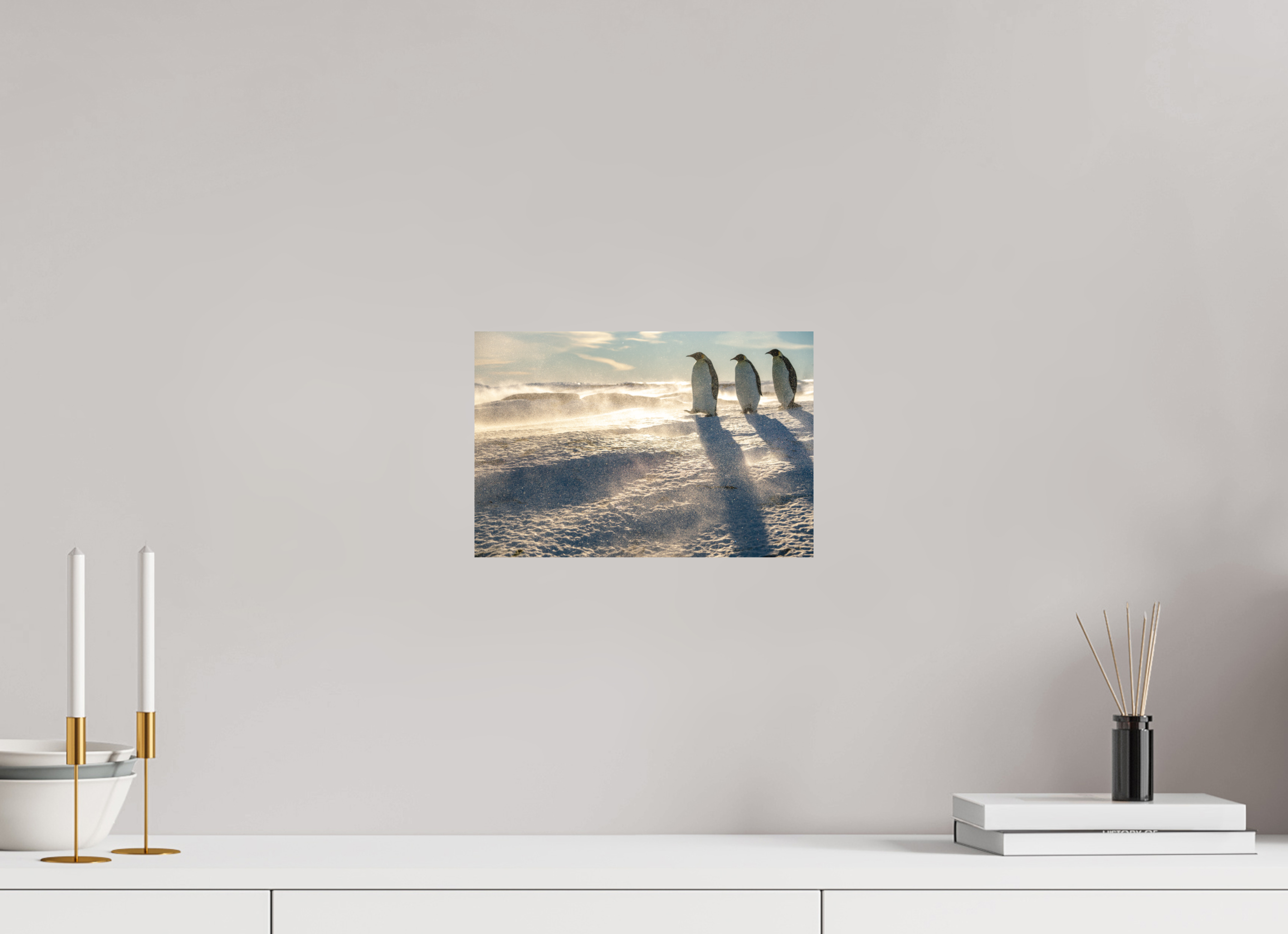 30 x 20 cm, Tirage photo - satiné La marche des Empereurs