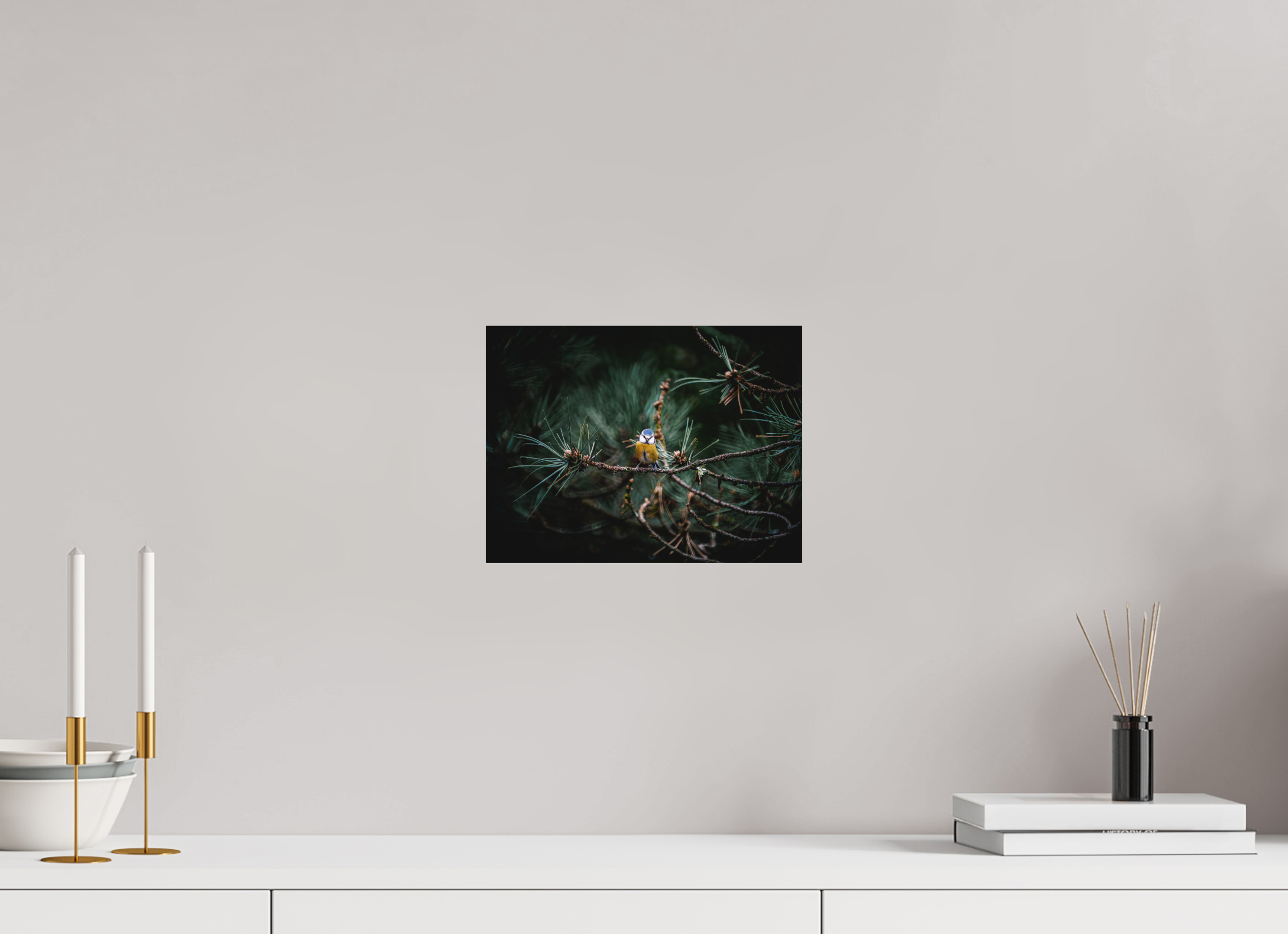 28 x 21 cm, Impression Fine Art - mat Mésange II