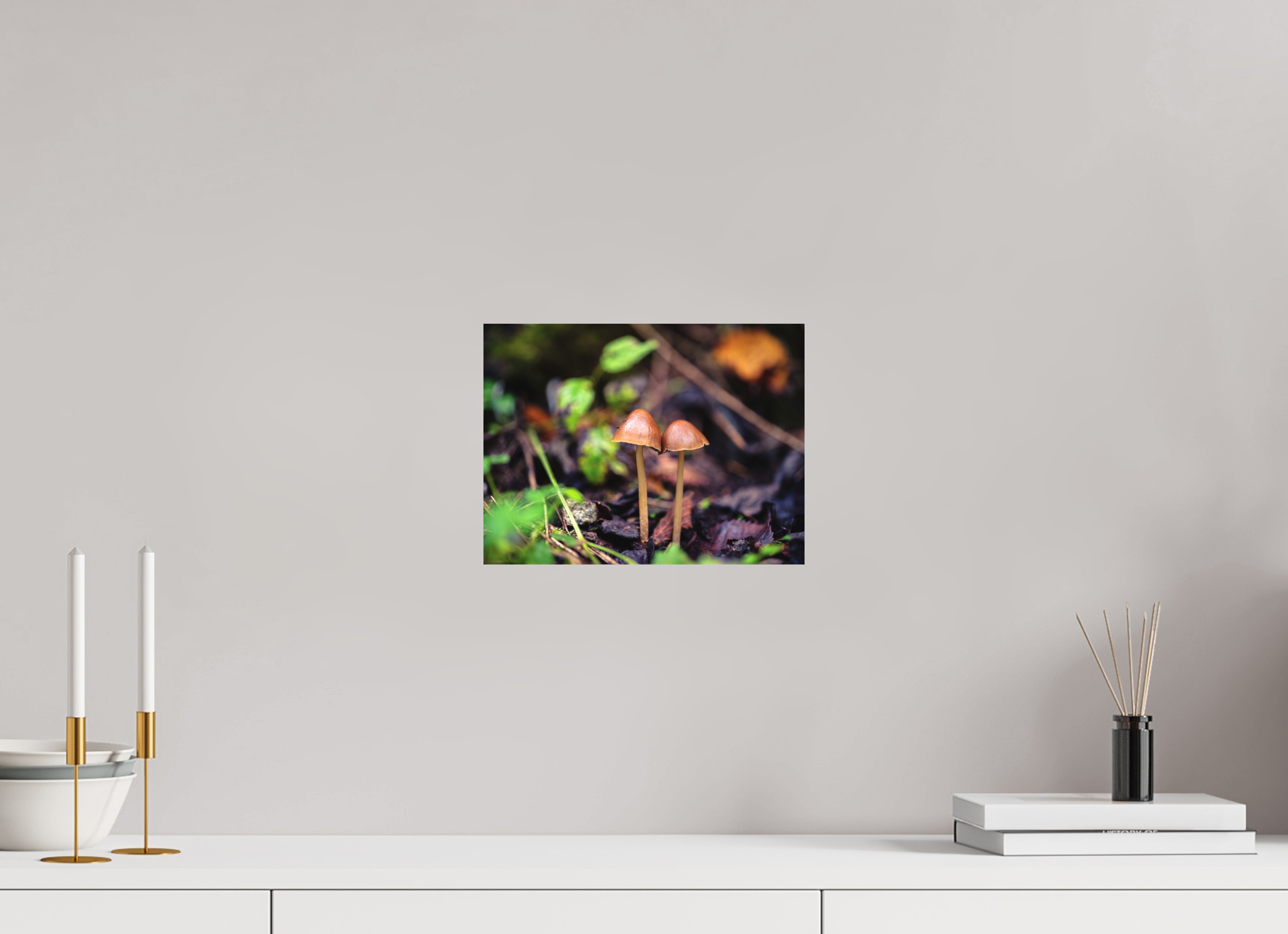 28 x 21 cm, Impression Fine Art sur support rigide - mat Champignons