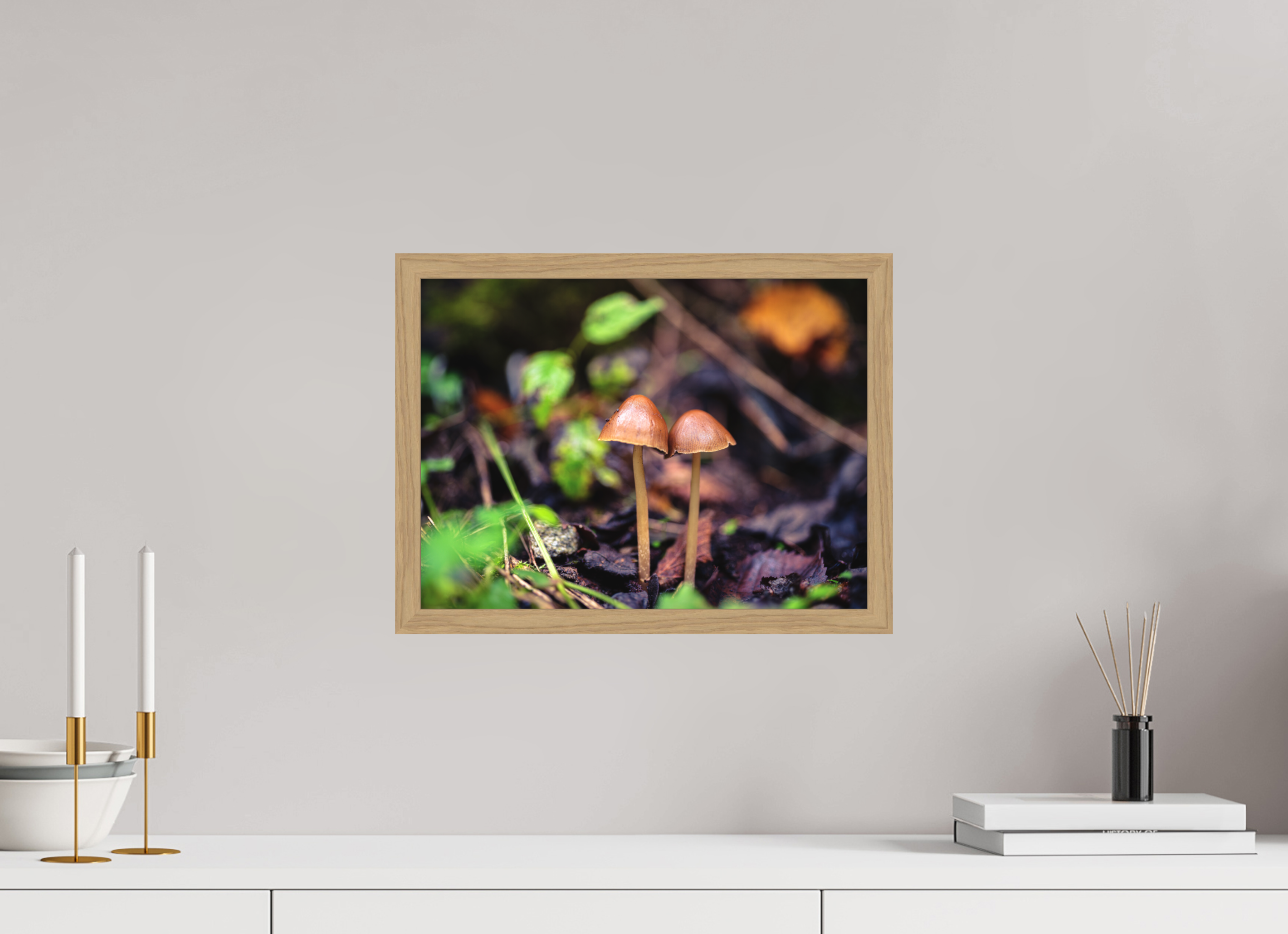 40 x 30 cm, Impression Fine Art encadrée en chêne naturel - mat Champignons