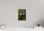 20 x 30 cm, Tirage photo - satiné eclatant