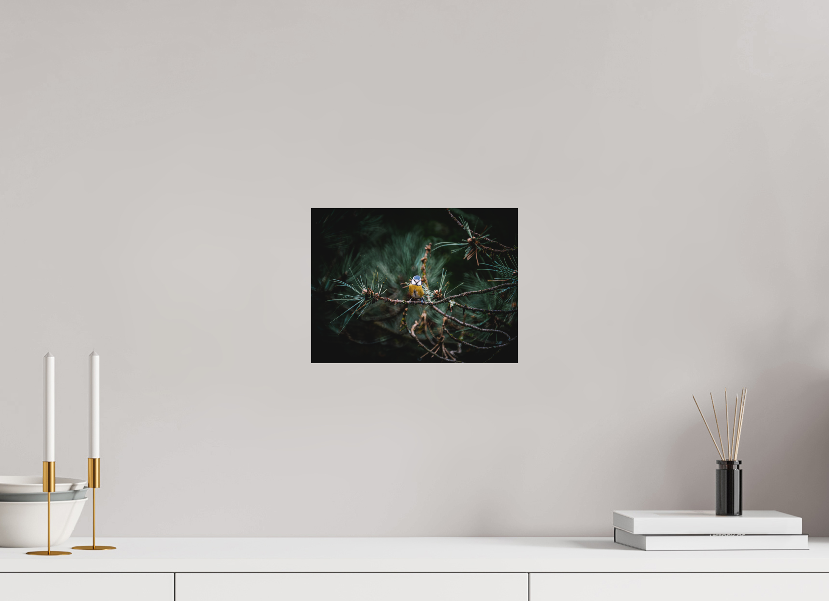 28 x 21 cm, Impression Fine Art sur support rigide - mat Mésange II