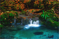 Main image De l'eau et des couleurs