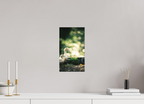 20 x 35,3 cm, Tirage photo - satiné Canards II