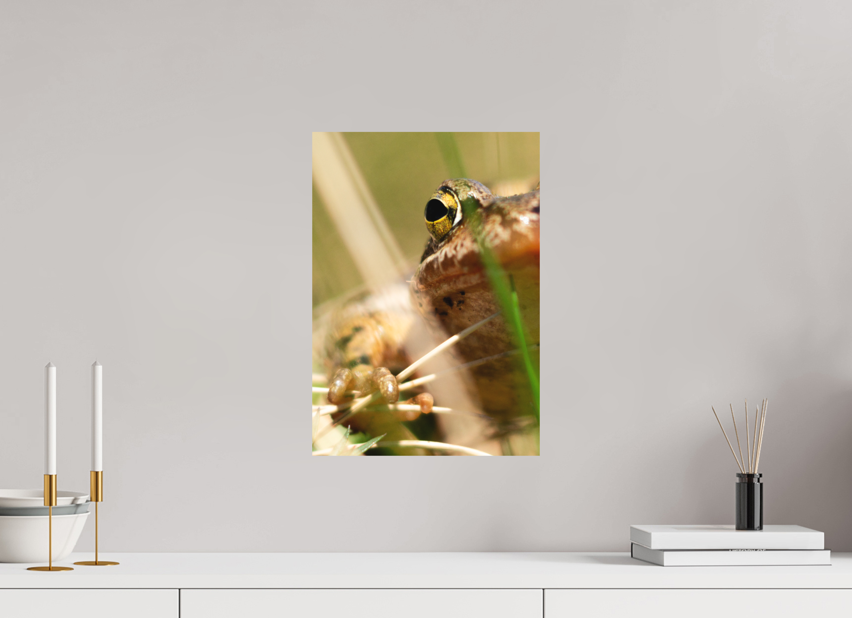 30 x 42,7 cm, Impression Fine Art sur support rigide - mat Grenouille Rousse