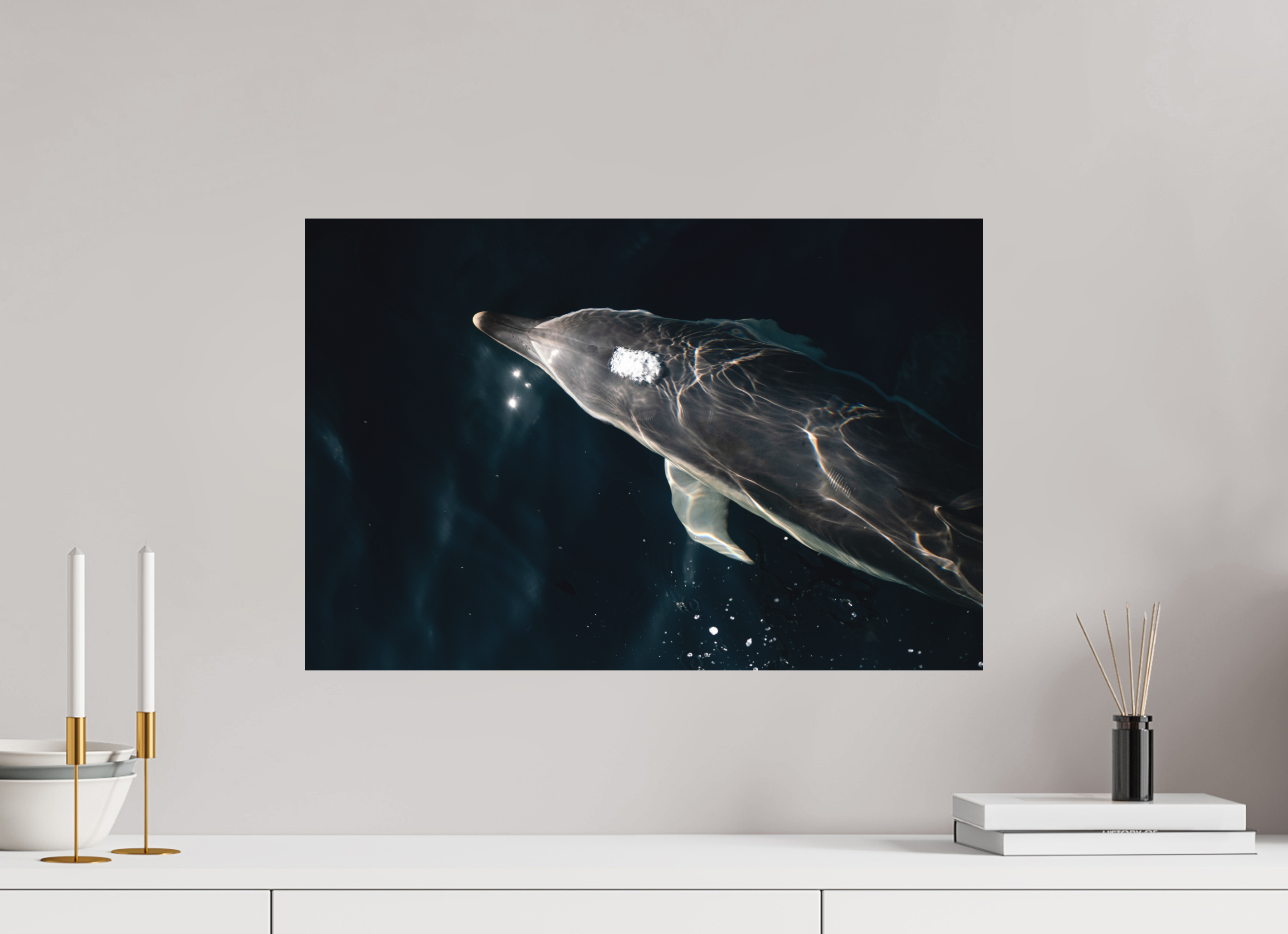 60 x 40 cm, Impression Fine Art - mat Dauphin joueur