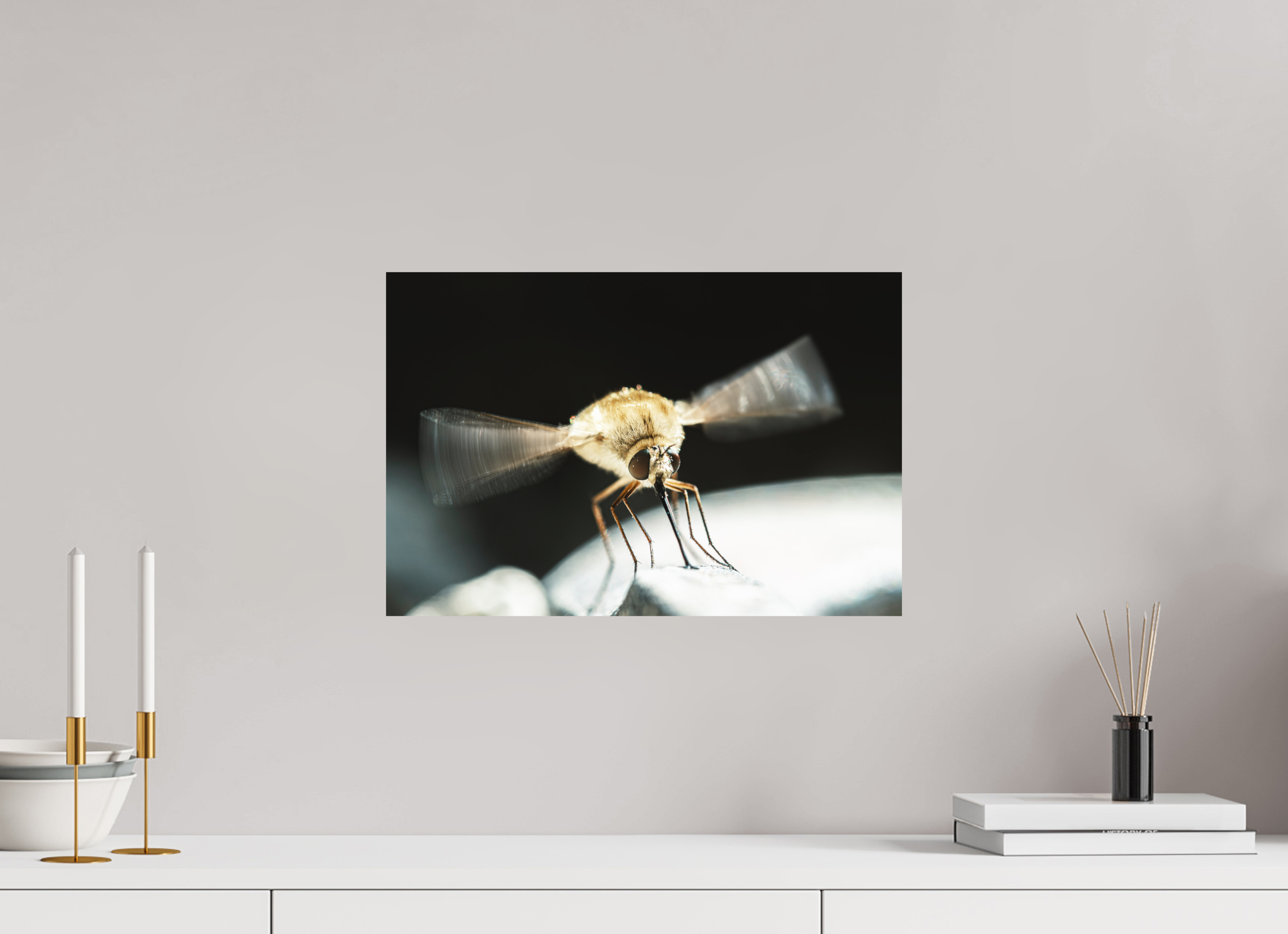45 x 30 cm, Impression Fine Art sur support rigide - mat Bombylius