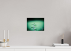 28 x 21 cm, Photo Print On Fuji Crystal DP II Ortie II