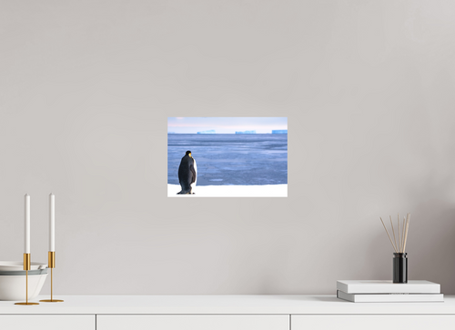 30 x 20 cm, Tirage photo - satiné Contemplation
