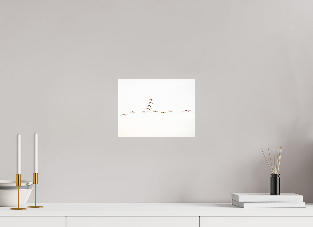 28 x 21 cm, Tirage photo - satiné Flamands roses