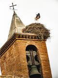 Main image Grue IV