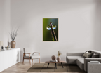 80 x 120 cm, Impression Fine Art encadrée en chêne naturel - mat eclatant