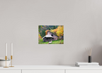28 x 21 cm, Tirage photo - satiné Une petite maison dans la prairie