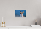 30 x 20 cm, Tirage photo - satiné Bruno le renardeau