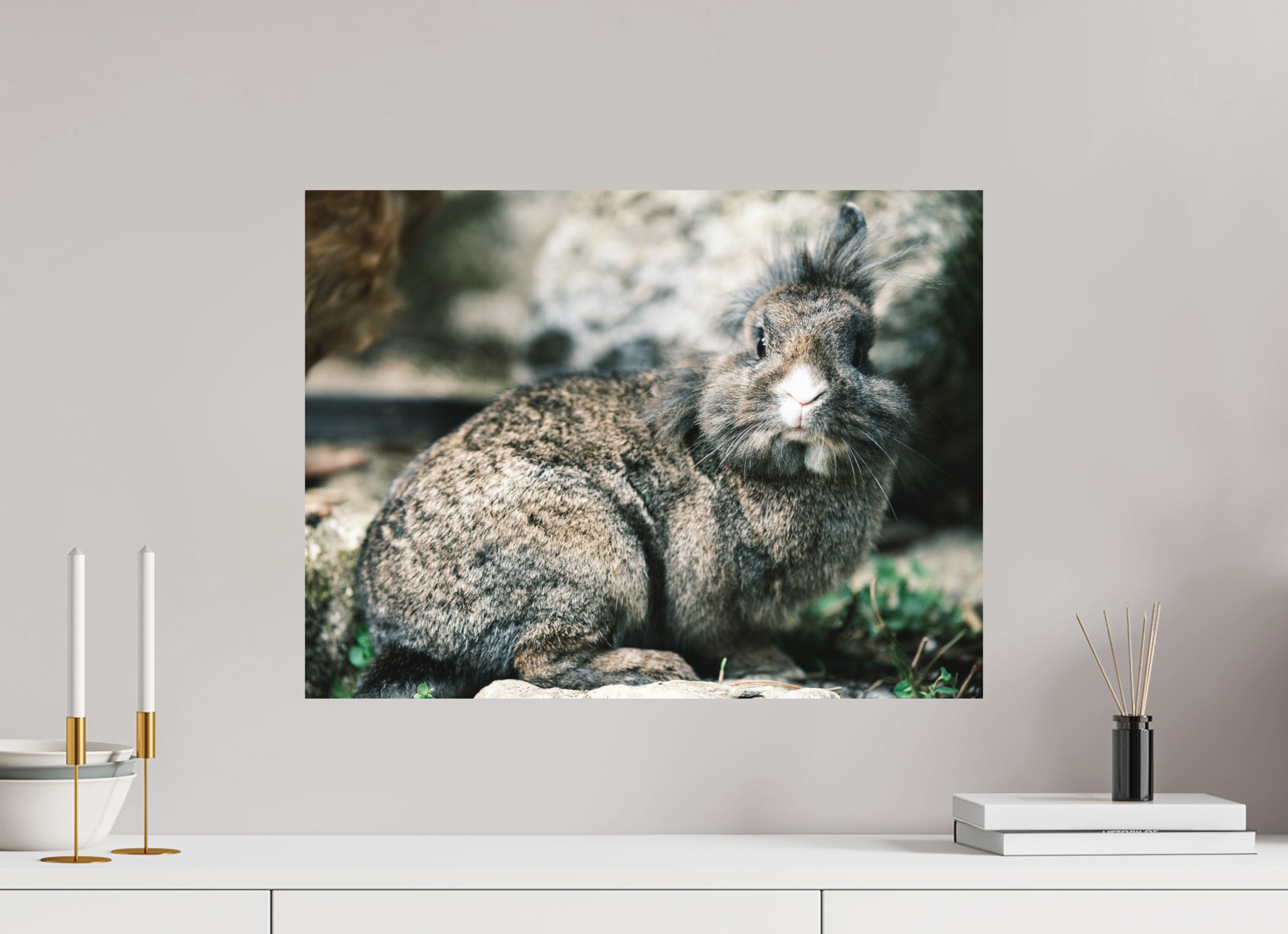60 x 45 cm, Impression Fine Art - mat Lapin