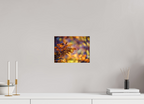 28 x 21 cm, Tirage photo - satiné La folie des couleurs III