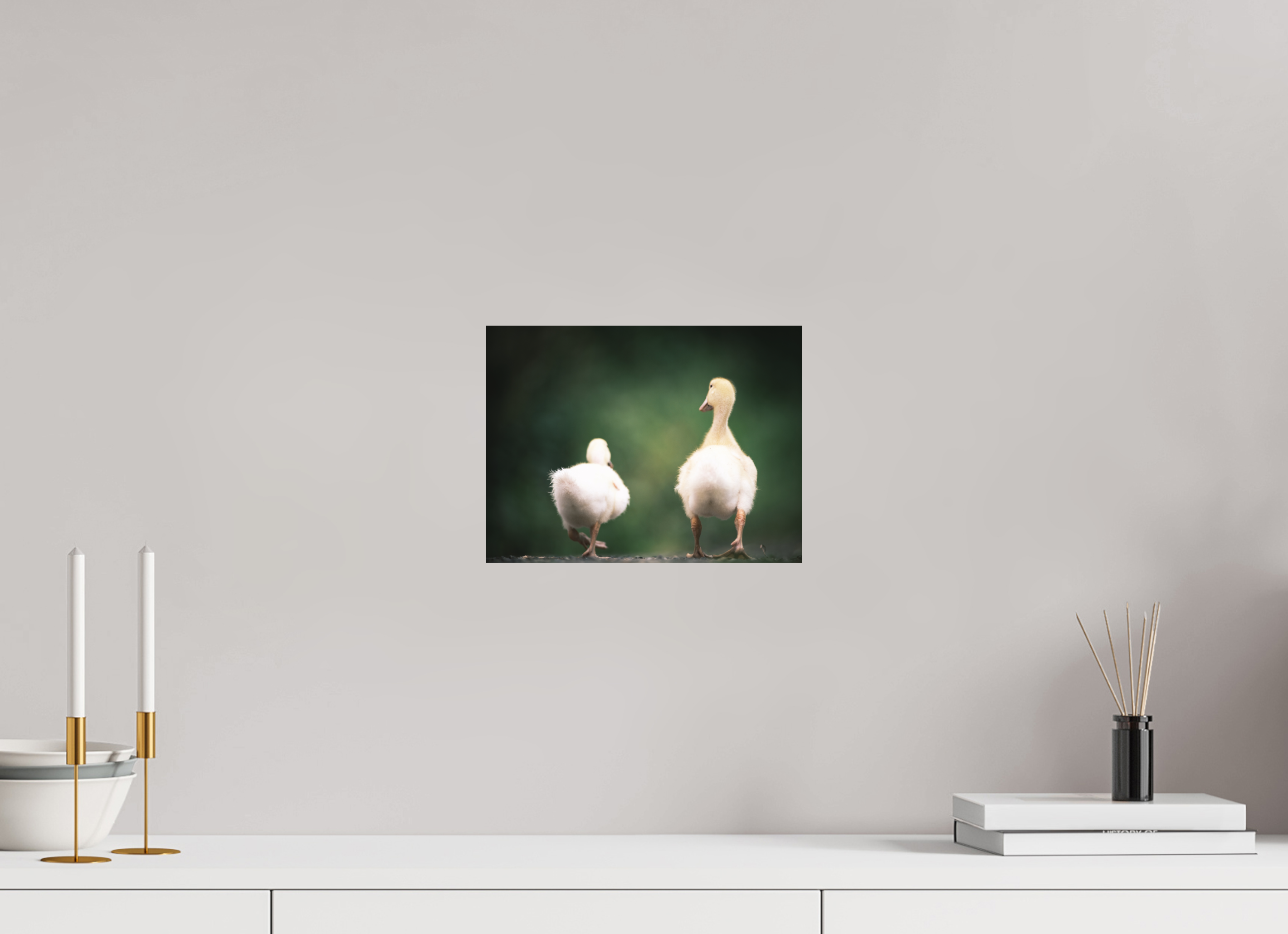 28 x 21 cm, Tirage photo - satiné Canards I