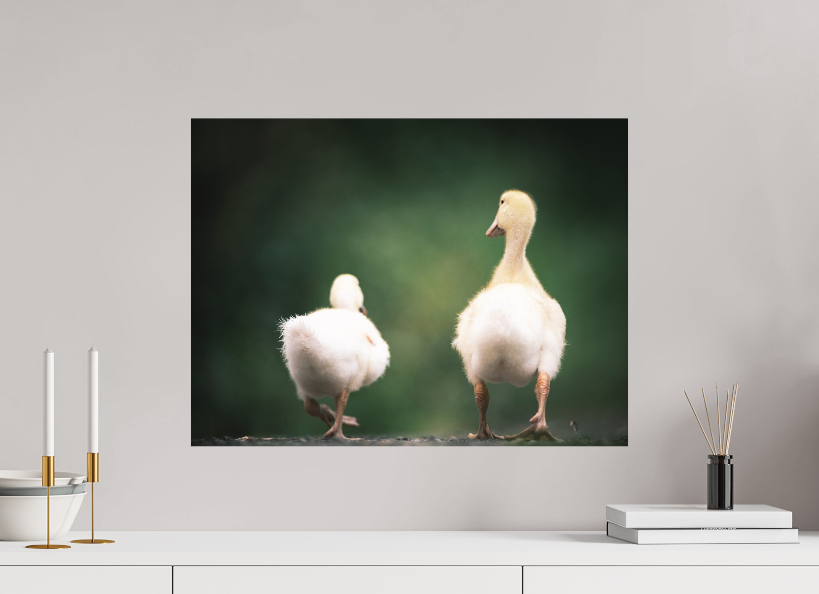 60 x 45 cm, Impression Fine Art sur support rigide - mat Canards I