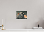 28 x 21 cm, Tirage photo - satiné Oeufs