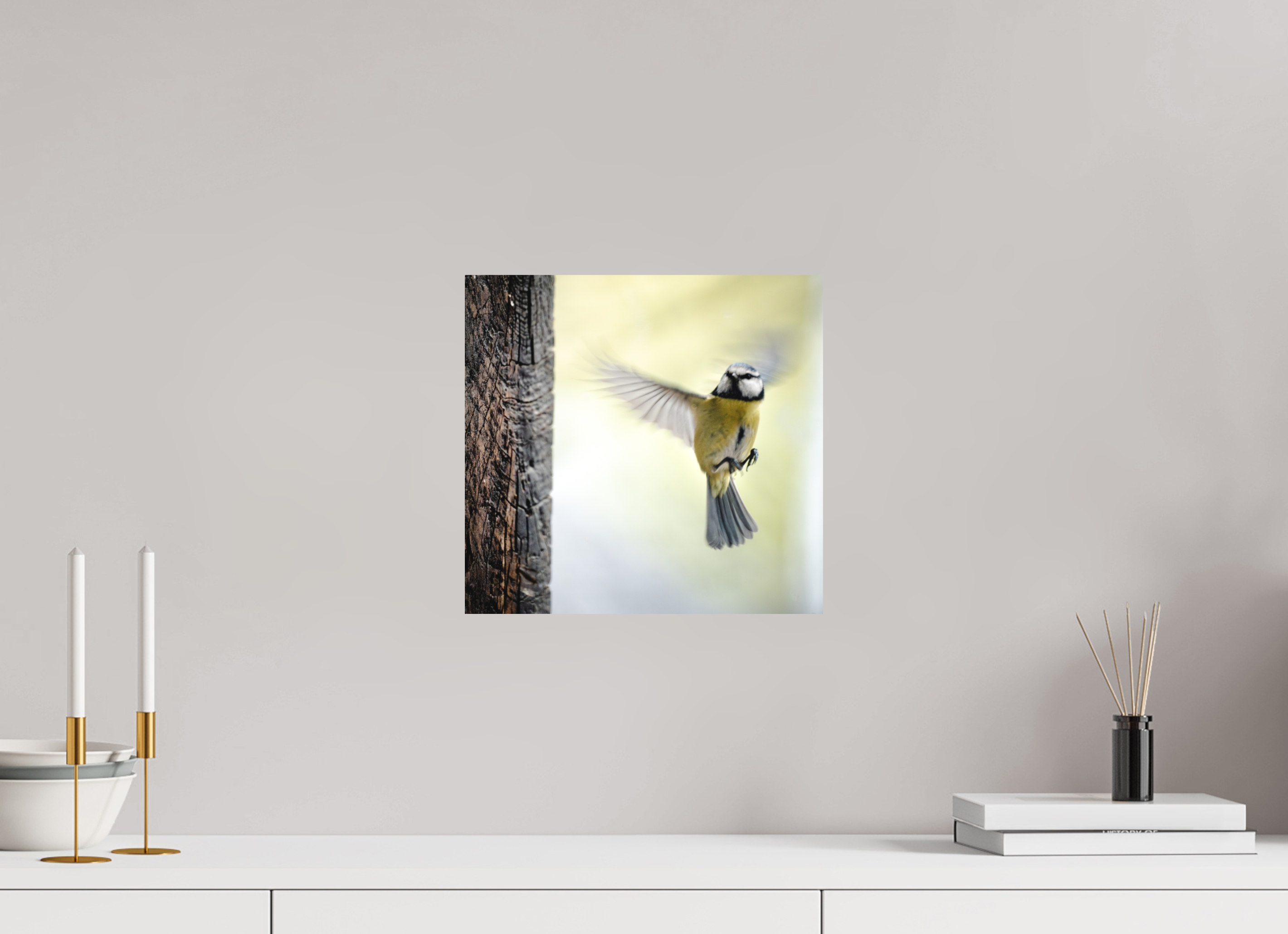 31,7 x 30 cm, Tirage photo - satiné mesange III