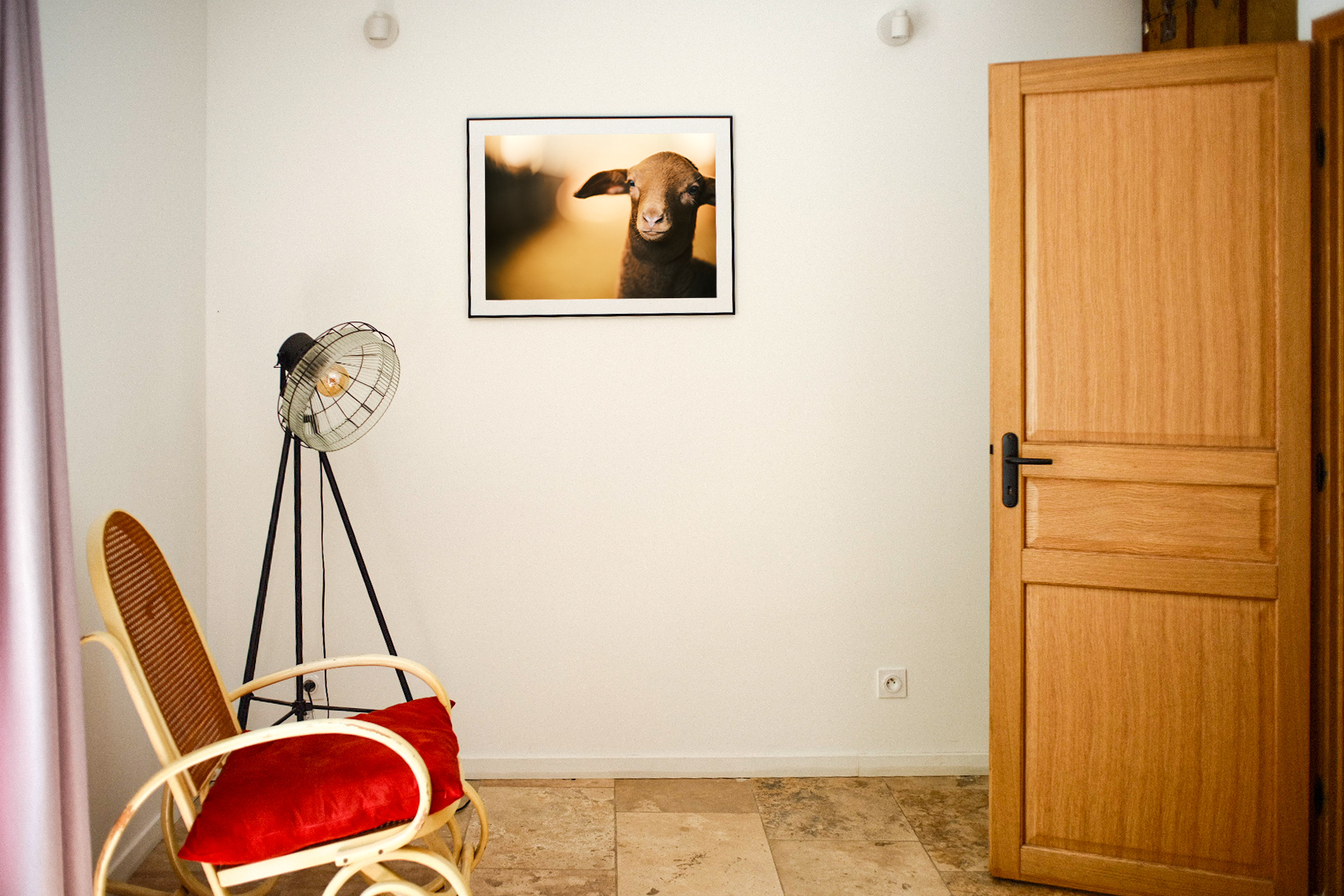 photographie d'une magnifique jeune agnelle sur le mur d'une chambre d'un très grand gite.
