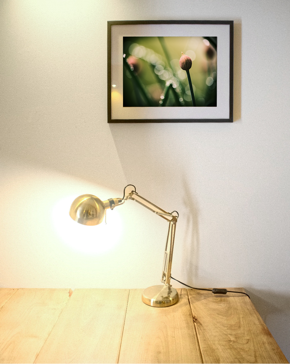 photographie de flore encadrée et posée sur le mur d'un grand gite, avec une lampe de bureau vintage.