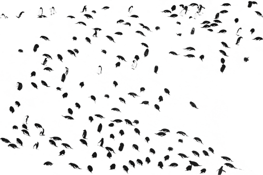 Main image La foule