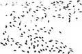Main image La foule