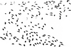 Main image La foule